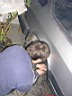 dscn0384.jpg